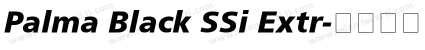 Palma Black SSi Extr字体转换